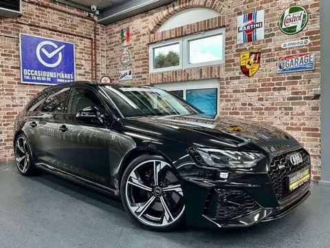 Used AUDI RS4 Petrol 2023 Ad 