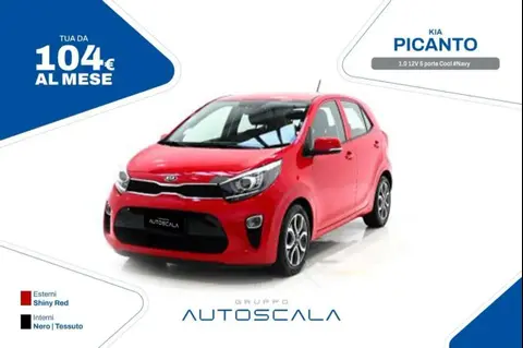 Annonce KIA PICANTO Essence 2019 d'occasion 