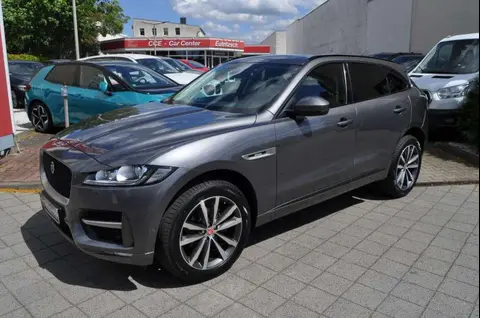 Used JAGUAR F-PACE Diesel 2017 Ad 