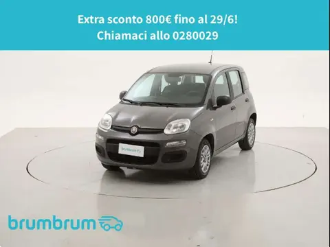 Used FIAT PANDA Petrol 2020 Ad Italy