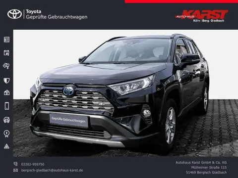 Used TOYOTA RAV4 Hybrid 2019 Ad Germany