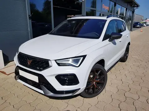 Used CUPRA ATECA Petrol 2024 Ad 