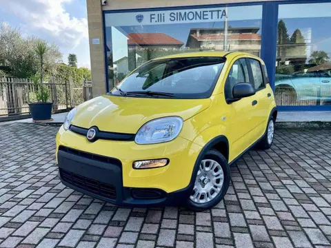 Used FIAT PANDA Hybrid 2024 Ad 