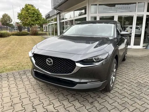 Used MAZDA CX-30 Hybrid 2024 Ad Germany