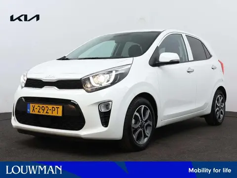 Used KIA PICANTO Petrol 2024 Ad 