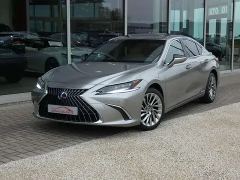 Used LEXUS ES Hybrid 2022 Ad 