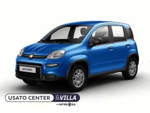 Used FIAT PANDA Hybrid 2024 Ad 