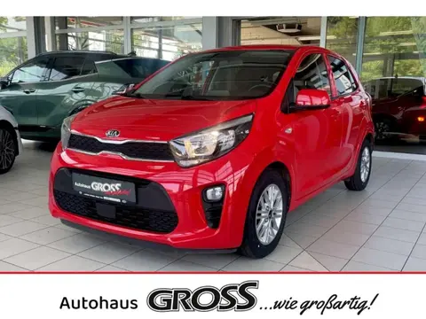 Used KIA PICANTO Petrol 2021 Ad 