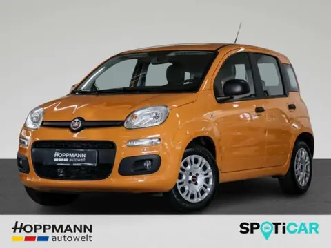 Annonce FIAT PANDA Essence 2019 d'occasion 