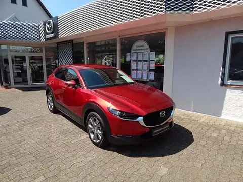 Annonce MAZDA CX-30 Hybride 2021 d'occasion 