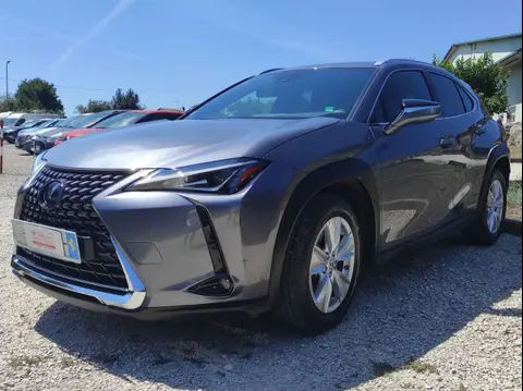 Used LEXUS UX Hybrid 2021 Ad 