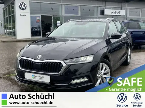 Annonce SKODA OCTAVIA Diesel 2021 d'occasion 