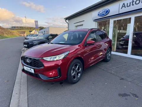 Annonce FORD KUGA Essence 2024 d'occasion 