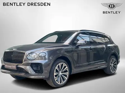 Used BENTLEY BENTAYGA Petrol 2023 Ad 