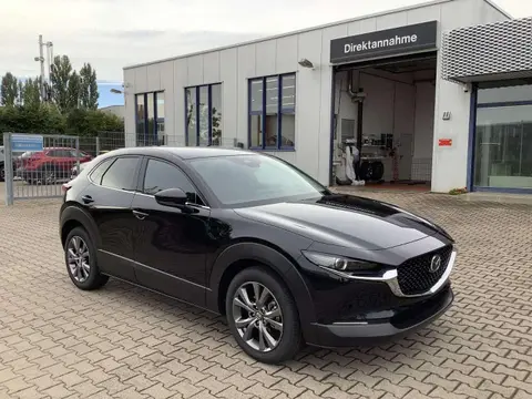 Annonce MAZDA CX-30 Hybride 2024 d'occasion Allemagne