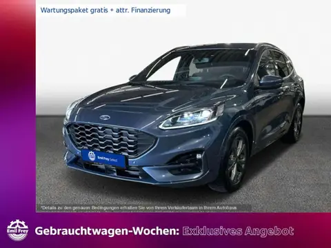 Annonce FORD KUGA Diesel 2023 d'occasion 