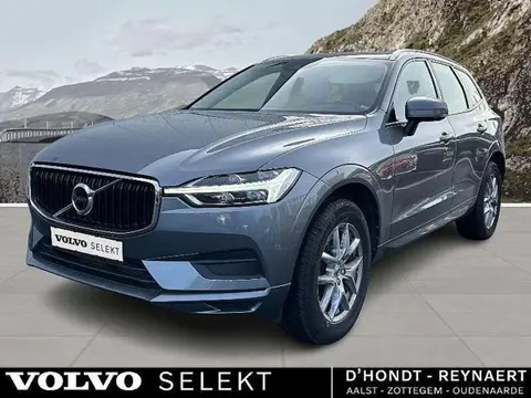 Annonce VOLVO XC60 Essence 2019 d'occasion 