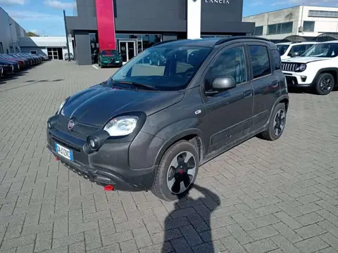 Annonce FIAT PANDA Hybride 2023 d'occasion 