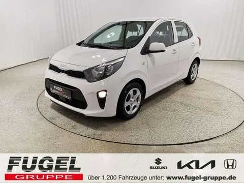 Used KIA PICANTO Petrol 2024 Ad 