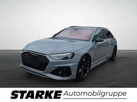 Annonce AUDI RS4 Essence 2024 d'occasion 