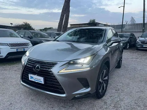 Annonce LEXUS NX Hybride 2019 d'occasion 