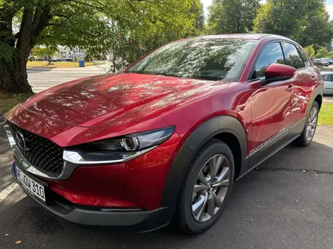 Used MAZDA CX-30 Hybrid 2023 Ad 