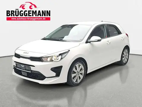 Annonce KIA RIO Essence 2023 d'occasion 