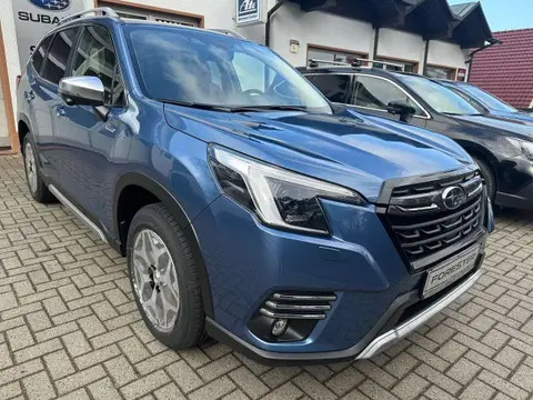 Used SUBARU FORESTER Petrol 2024 Ad 