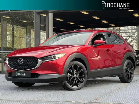 Used MAZDA CX-30 Hybrid 2020 Ad 