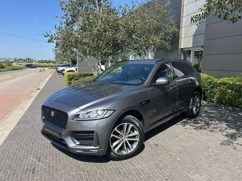 Used JAGUAR F-PACE Diesel 2019 Ad 