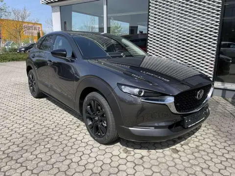 Annonce MAZDA CX-30 Essence 2024 d'occasion 