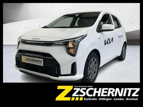 Annonce KIA PICANTO Essence 2024 d'occasion 