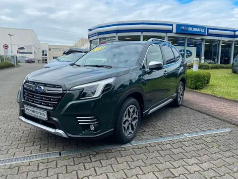 Used SUBARU FORESTER Hybrid 2024 Ad 