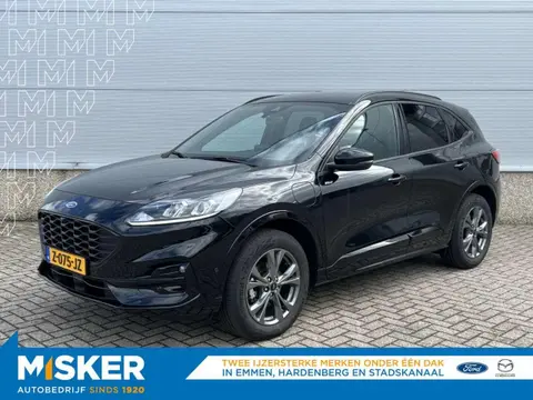 Annonce FORD KUGA Hybride 2023 d'occasion 