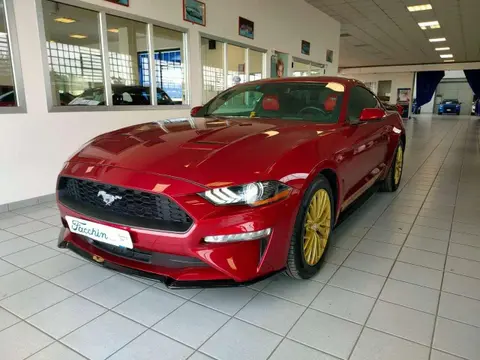 Used FORD MUSTANG Petrol 2019 Ad 