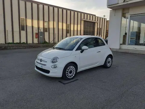 Used FIAT 500 Petrol 2020 Ad 