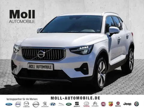 Used VOLVO XC40 Hybrid 2023 Ad 