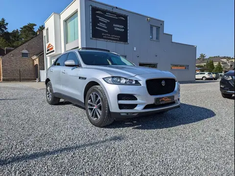 Used JAGUAR F-PACE Diesel 2019 Ad 