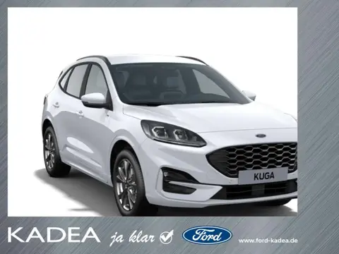 Used FORD KUGA Hybrid 2024 Ad 