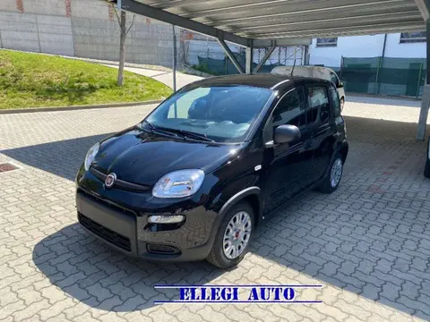 Annonce FIAT PANDA Hybride 2024 d'occasion 