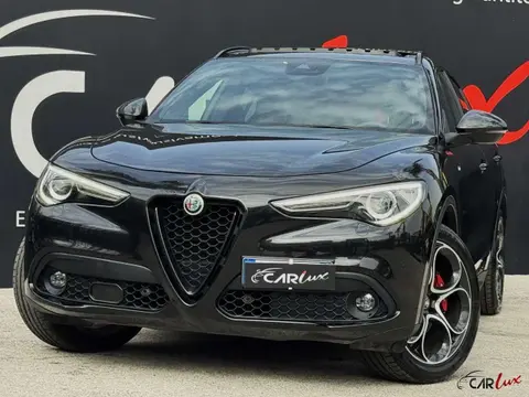 Used ALFA ROMEO STELVIO Diesel 2019 Ad 