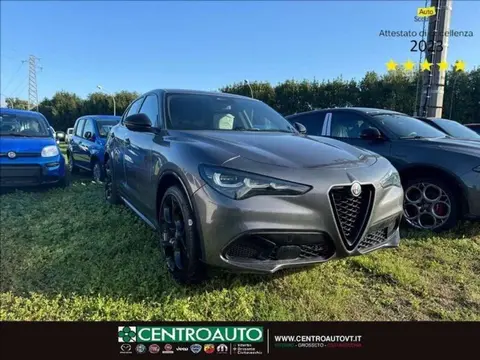 Used ALFA ROMEO STELVIO Diesel 2024 Ad 