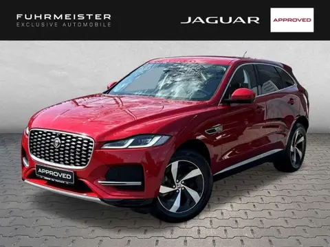 Annonce JAGUAR F-PACE Hybride 2021 d'occasion 