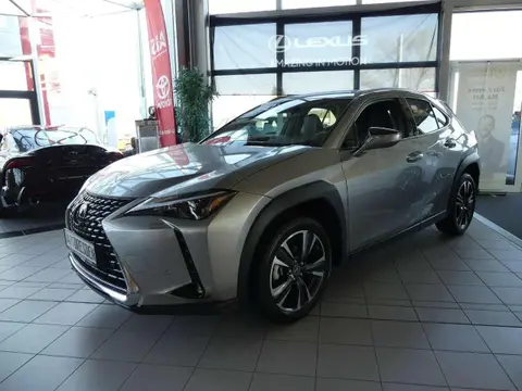 Used LEXUS UX Hybrid 2023 Ad 