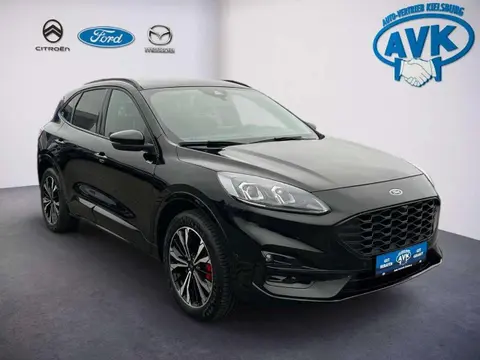 Used FORD KUGA Hybrid 2023 Ad 