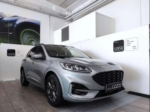 Used FORD KUGA Hybrid 2023 Ad 