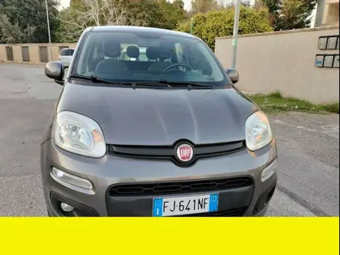 Used FIAT PANDA Petrol 2017 Ad 