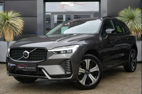 Annonce VOLVO XC60 Hybride 2023 d'occasion 