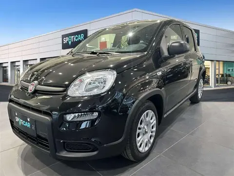 Used FIAT PANDA Hybrid 2024 Ad 