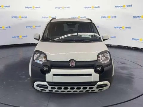 Used FIAT PANDA Diesel 2024 Ad 